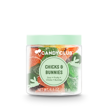 Load image into Gallery viewer, Chicks & Bunnies *EASTER / SPRING COLLECTION*