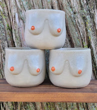 Load image into Gallery viewer, Concrete boobie planter