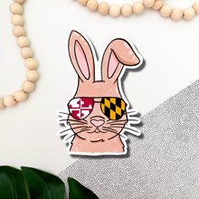 Load image into Gallery viewer, Maryland Cool Bunny Sticker