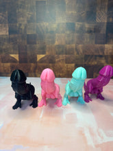 Load image into Gallery viewer, D-Rex- assorted colors