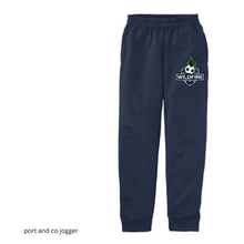 Load image into Gallery viewer, CCSC-WILDFIRE - Port &amp; Co™ Youth Core Fleece Jogger- Navy
