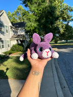 Purple Bunny
