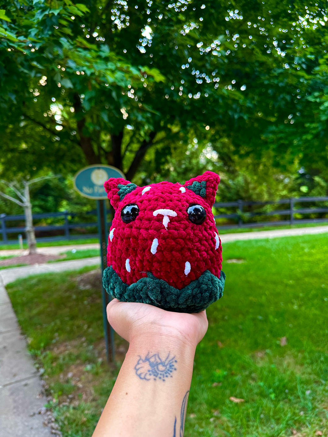 Red Starberry Cat