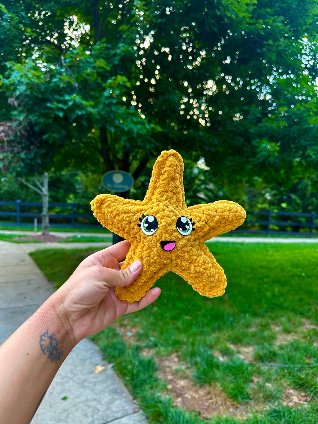 (G) Yellow Starfish