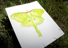 Load image into Gallery viewer, Lovely Luna Moth -- Handmade Watercolor Insect Card
