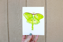 Load image into Gallery viewer, Lovely Luna Moth -- Handmade Watercolor Insect Card
