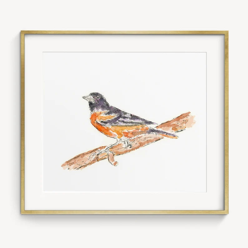 oriole watercolor 5x7