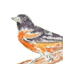 Load image into Gallery viewer, Oriole watercolor 8x10 print
