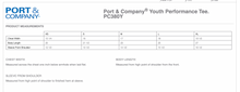 Load image into Gallery viewer, Port &amp; Co short sleeve performance tee YOUTH CC Phoenix-gradient

