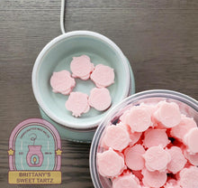 Load image into Gallery viewer, Watermelon Waves Owl Wax Melts
