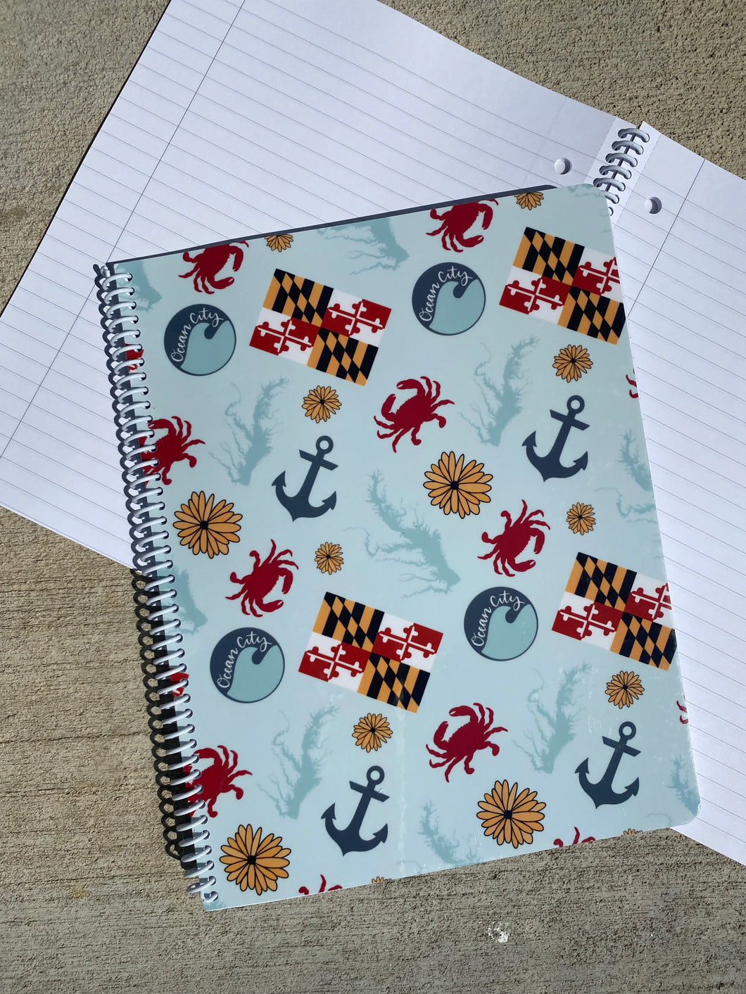 Chesapeake Bay Notebook