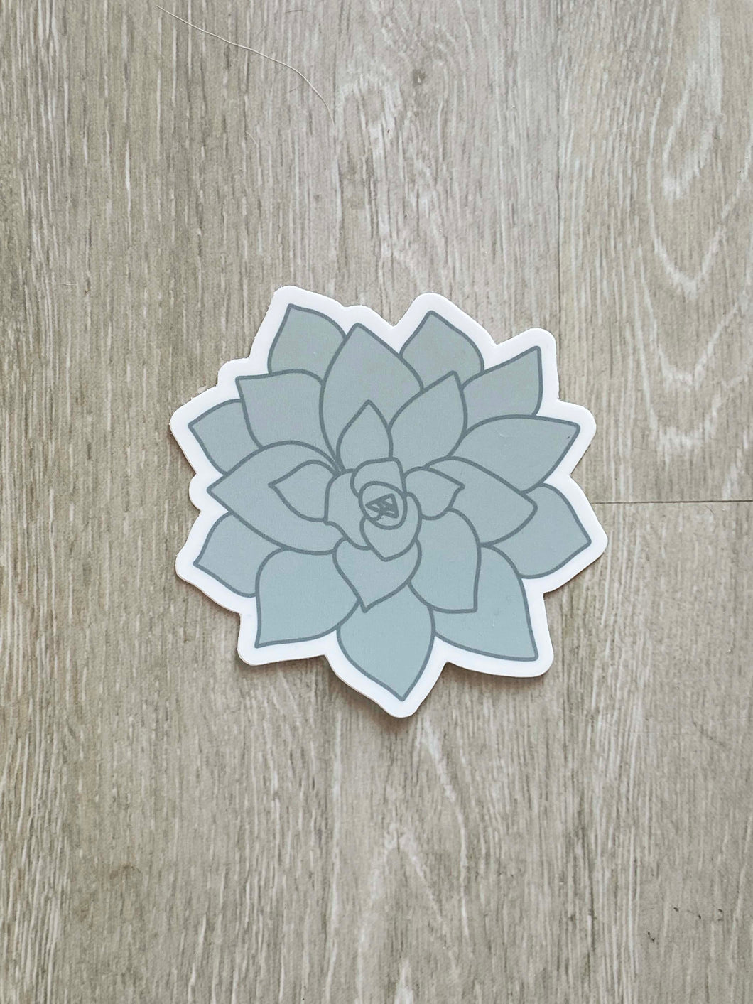 Succulent Sticker