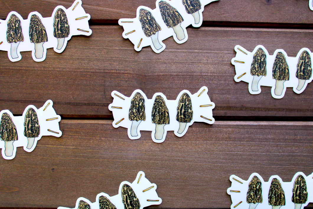 Small Morel Mushroom Sticker